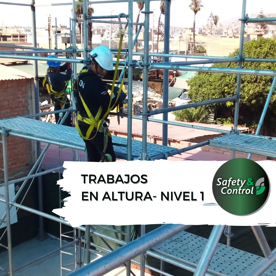 Riesgos de Trabajos en Altura (8 horas)