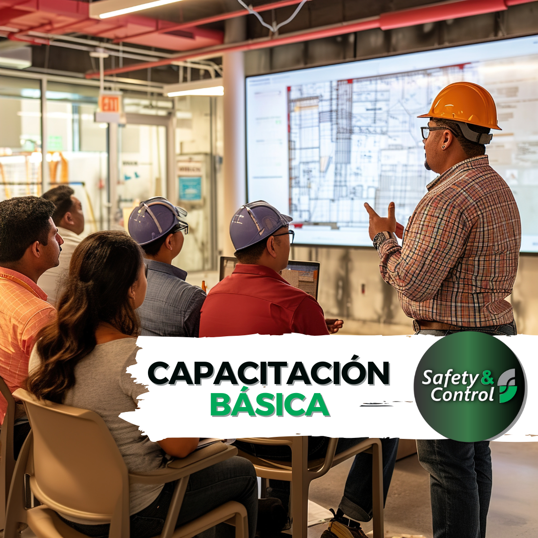 Capacitación Básica