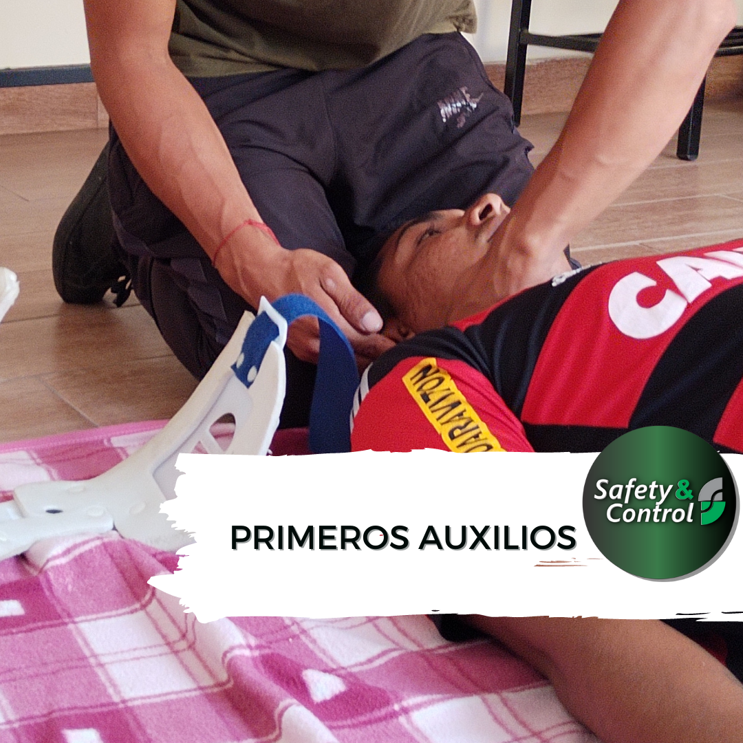 Primeros Auxilios - RCP (4 horas)